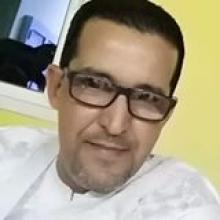 محمد ولد عبد القادر