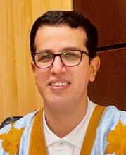 محمد ولد حويه