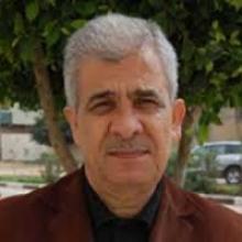 ناجى صادق شراب