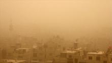 المصدر: (انترنت)