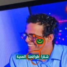 محمد الأمين محمودي