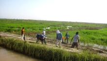 مدينة روصو بولاية الترارزة-(المصدر: الانترنت) 