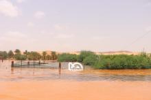 المصدر: الصحراء