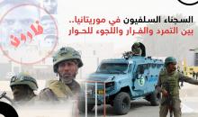 المصدر: الصحراء