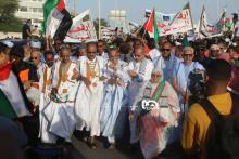 جانب من مسيرة الأحزاب السياسية الموريتانية للتضامن مع الشعب الفلسطيني- الصحراء