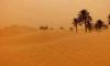 المصدر: الانترنت
