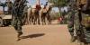 المصدر: (انترنت)