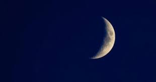 المصدر: (انترنت)